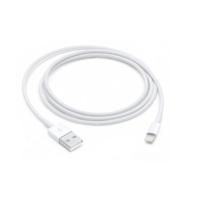 Genuine Apple Lightning To USB Cable (1m)