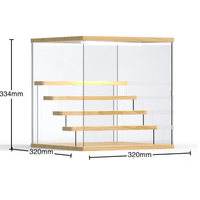 Acrylic Figure/Model Display Box with USB Lighting (Removable 5 Tier Stand)