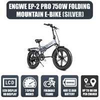 ENGWE EP-2 PRO 750W FOLDING ELECTRIC MOUNTAIN BIKE - SILVER