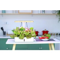 Hydroponics Growing System Traditional Soil method