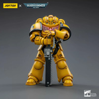 Warhammer Collectibles: 1/18 Scale Imperial Fists Intercessors