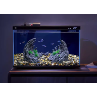 Xiaomi Mijia Fishtank Landscape - Dragon Valley Set