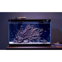 Xiaomi Mijia Fishtank Landscape - Dead Wood Set