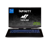 INFINITY M7-11R7N-888  i7 11800H 16G 512SSD RTX3070P 8G 17.3"QHD 165Hz Win10H Gaming Laptop