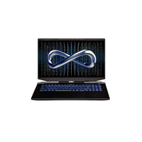 Infinity M7-12R6N-899 17.3" 165Hz QHD Gaming Laptop i7 16GB 1TB 3060P W11H