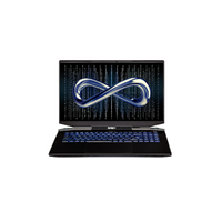 Infinity M7-12R7TiN-899 17.3" 240Hz QHD Gaming Laptop i7 16GB 1TB 3070Ti W11H