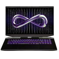 Infinity M7-13R7A-899 17.3inch QHD 240Hz Core i7-13700H 16GB RTX 4070 1TB Gaming Laptop