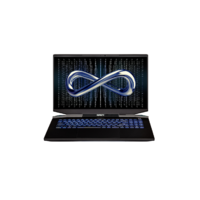 INFINITY M7-5R7R6N-899- R7-5800H 16G*1 1TB SSD RTX3060P 6G 17.3"QHD165Hz WIn10H