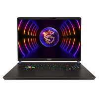 MSI Vector GP78HX 13VI 17inch Core i9 RTX 4090 Gray Gaming Laptop