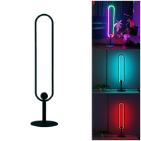 RGB Desk Lamp With Remote Control 60cm Height
