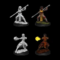 D&D Nolzurs Marvelous Unpainted Miniatures Female Half-Elf Monk