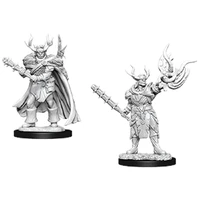 Pathfinder Deep Cuts Unpainted Miniatures Male Half-Orc Druid