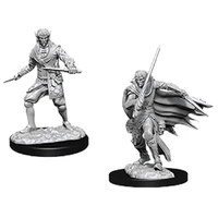 Pathfinder Deep Cuts Unpainted Miniatures Male Elf Rogue