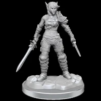 D&D Nolzurs Marvelous Miniatures Elf Rogue & Half-Elf Rogue Protege