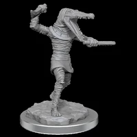 D&D Nolzurs Marvelous Unpainted Miniatures Mummies