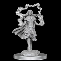 D&D Nolzurs Marvelous Unpainted Miniatures Dark Spellcaster & Flameskulls