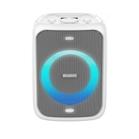 BlueAnt X5 Portable 60-Watt Bluetooth Party Speaker - White