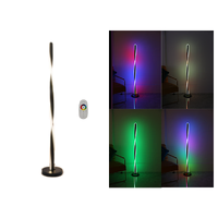 Minimalist floor lamp RGB+Remote led corner standing lamp Double Twisted Design Black