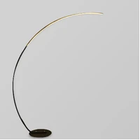 Minimalist Curve Dimming Floor Lamp Remote Control - Black