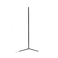 Minimalist floor lamp RGB+CCT+Remote led corner standing lamp led floor lamp