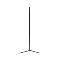 Minimalist floor lamp RGB+CCT+Remote led corner standing lamp led floor lamp