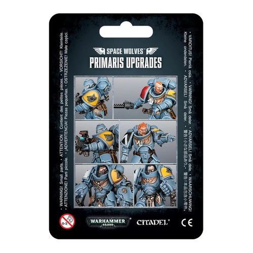Warhammer 40,000 Space Wolves Primaris Upgrades