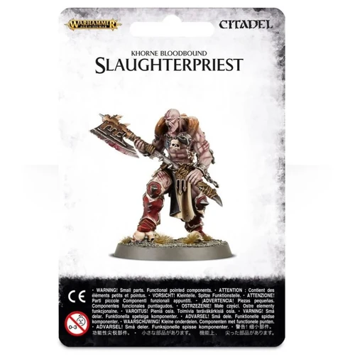 Warhammer Age of Sigmar: Khorne Bloodbound Slaughterpriest