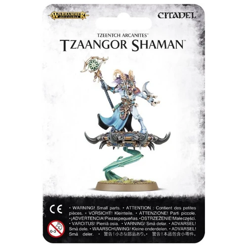 Warhammer Age of Sigmar: Tzeentch Arcanites Tzaangor Shaman