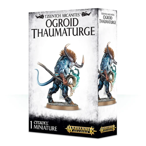Warhammer Age of Sigmar: Ogroid Thaumaturge
