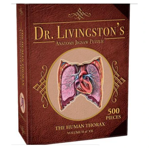 Dr Livingston Anatomy Jigsaw Puzzle The Human Thorax 500 Pieces