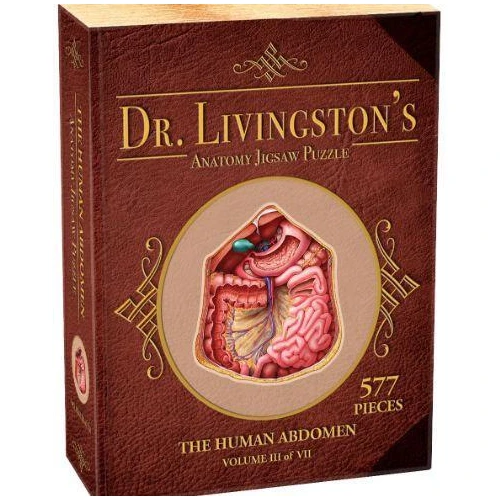 Dr Livingston Anatomy Jigsaw Puzzle The Human Abdomen 577 Pieces