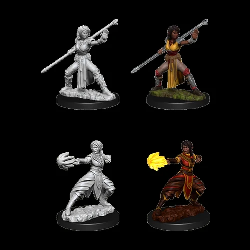 D&D Nolzurs Marvelous Unpainted Miniatures Female Half-Elf Monk